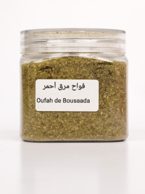 F86A9069 Fawah de Boussaâda